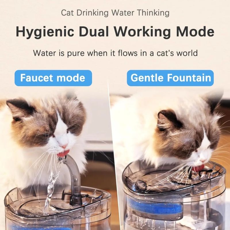 Comprar Fuente Bebedero Gato Transparente en Electroshopy - Ángulo 3